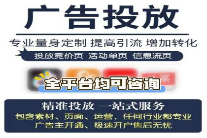 行业领先企业如何运用SEM运营推广